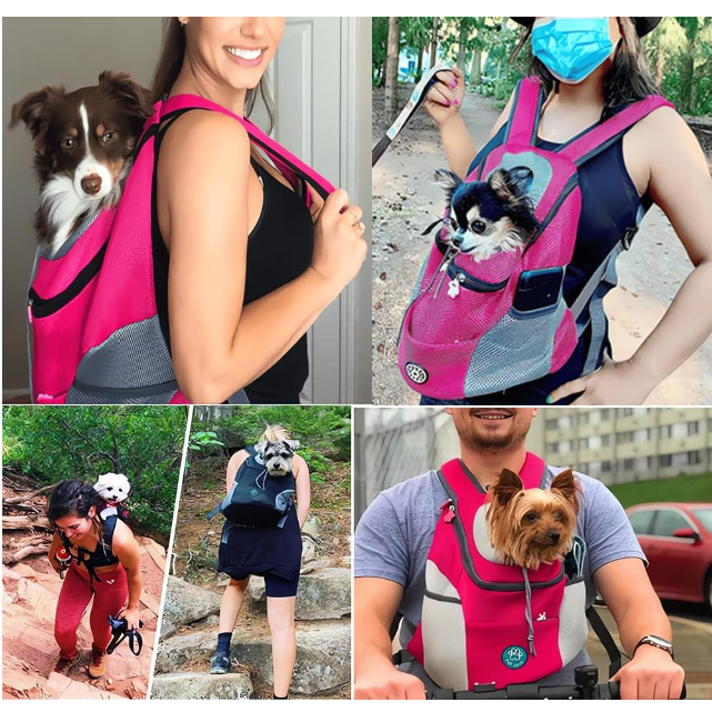 Summer Dog Backpack - FunForPet ™