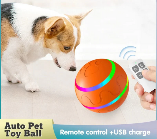 Smart interactive self-rolling ball for dogs and cats - FunForPet ™