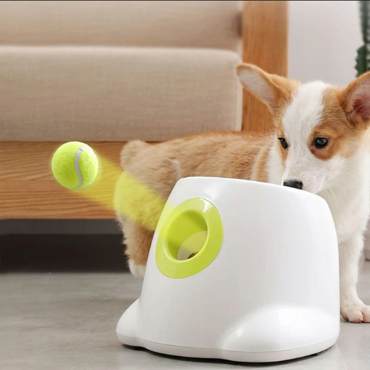 Catapult automatic ball launcher for dogs — FunForPet™